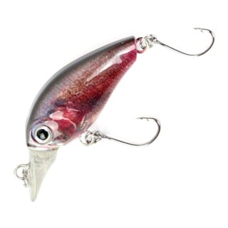 Major Fish Forellen Barsch Wobbler Crankbait 38 mm  Regenbogenforelle