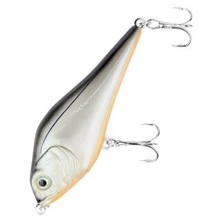 Major Fish Medium Jerk Jerkbait 10 cm Hecht Wobbler Carbon Orange