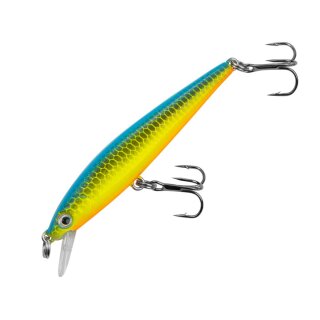 Major Fish Raptor Barsch Wobbler Flachläufer 7 cm Blau Grün