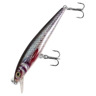 Major Fish Raptor Barsch Wobbler Flachläufer 7 cm Real Roach