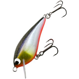 K.P XO Perch Crankbait 50 mm 6,2 g Schwimmend 05 Ayu Belly UV