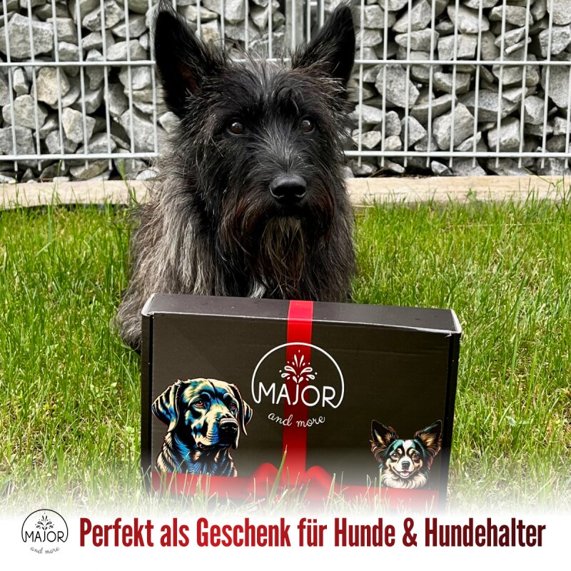 Hunde Überraschungsbox Wundertüte Geschenk für Hunde und Hundebesitzer