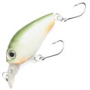 Major Fish Forellen Barsch Wobbler Lil Bill Crankbait 38...