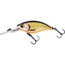 Westin Buzzbite Crankbait Wobbler 4 cm 4g Low Floating